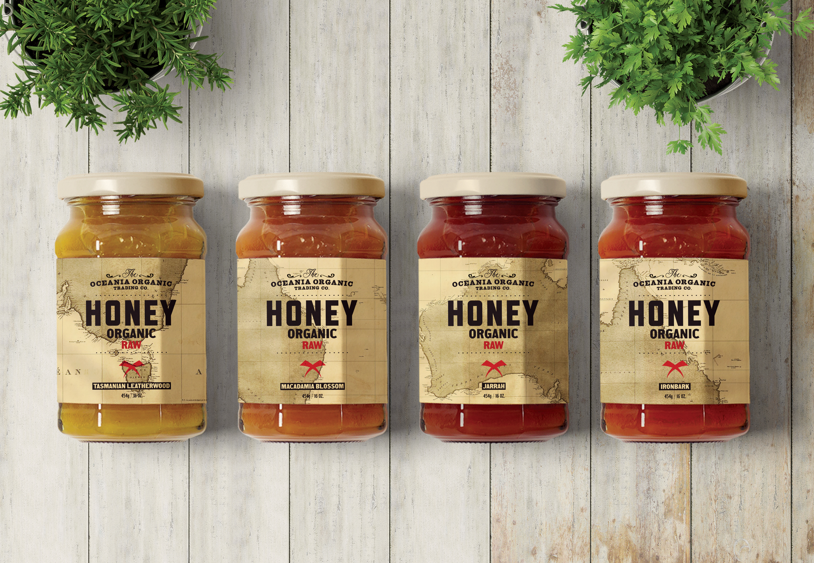 Close up of honey product created by Graphic Design student