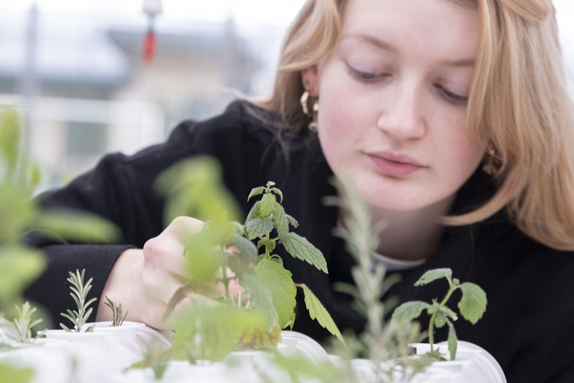 Female horticulture student working on small plants gallery